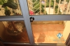 Nice apartment for rent in Ciputra, G Tower, Tay Ho district